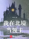 我在北境当领主!