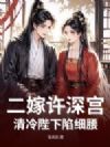 二嫁许深宫,清冷陛下陷细腰